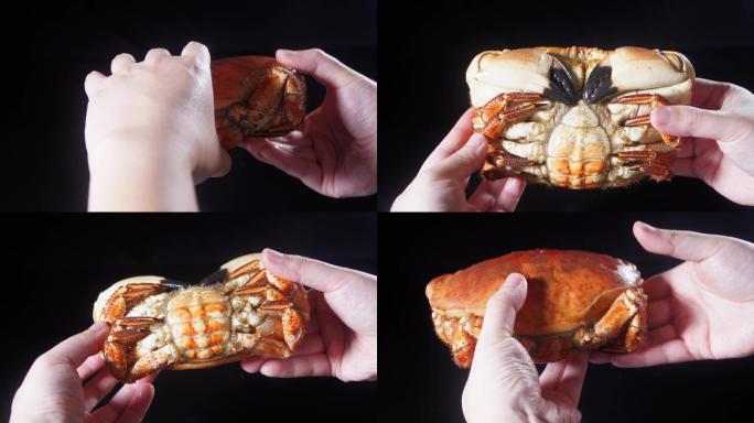 【4K正版】面包蟹