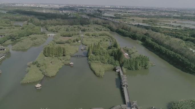 芦苇常熟沙家浜景区航拍log