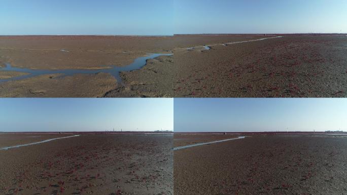 实拍沿海湿地泥滩