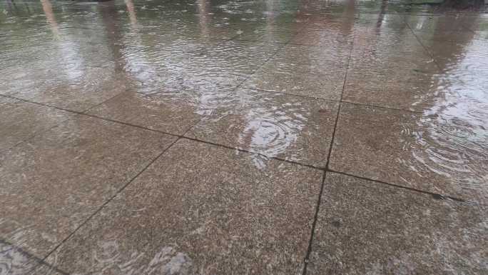 被雨水淋湿的路面