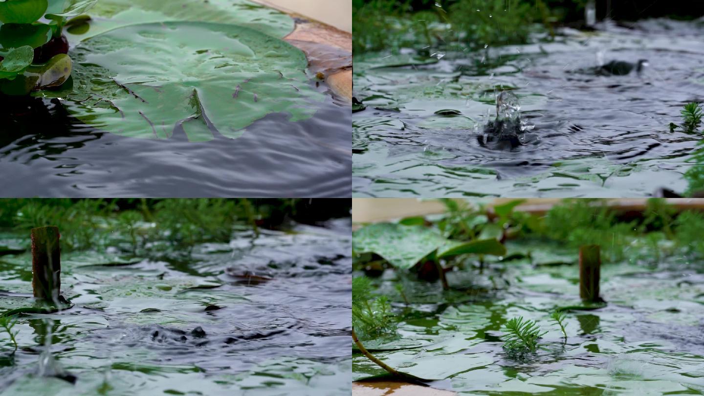 雨水滴落水面高速摄影空镜