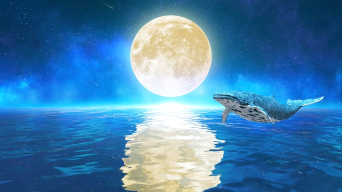 唯美月亮鲸鱼4k（3）-无缝循环