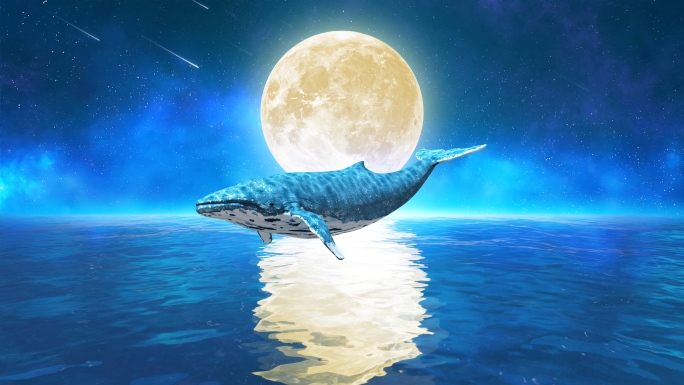 唯美月亮鲸鱼4k（3）-无缝循环