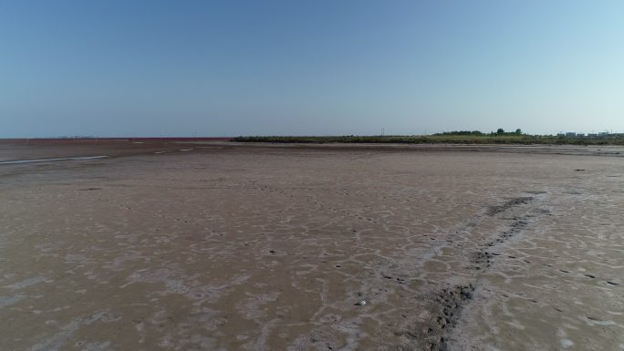 实拍北方海岸湿地泥滩