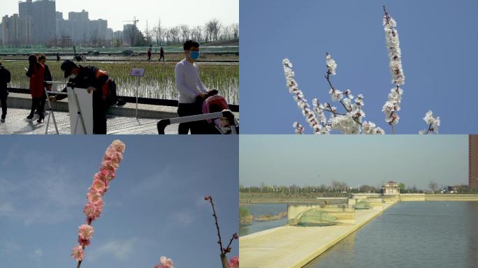 合集_西安浐灞湿地公园游人4K空镜
