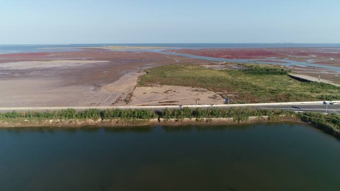 沿海湿地航拍