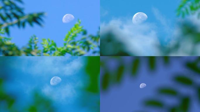 白天天空明月丨HD丨实拍原创