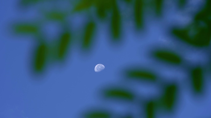 天空一轮明月丨4K丨原创