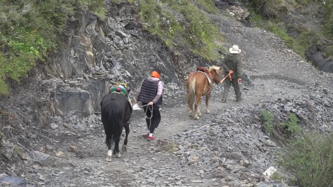 拉马的人马走山路