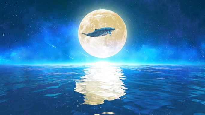 唯美月亮鲸鱼4k（9）-无缝循环