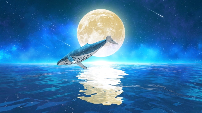 唯美月亮鲸鱼4k（9）-无缝循环