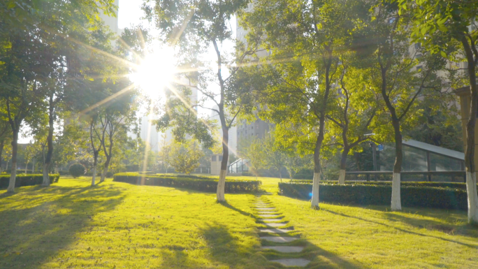 4K唯美清晨阳光树林-优美小区绿化环境