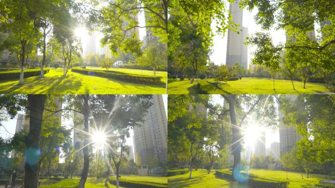 4K唯美清晨阳光树林-优美小区绿化环境
