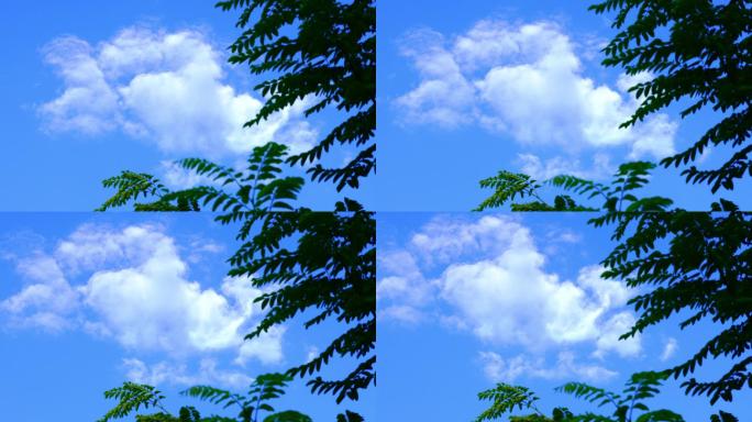 蓝天下白云丨4K丨原创