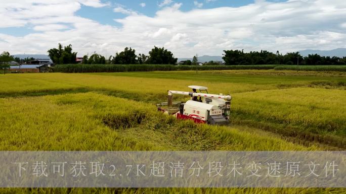 收割机收割水稻丰收