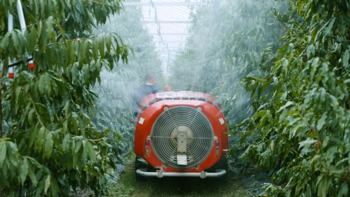 农厂主自动化种植浇水车水蜜桃桃