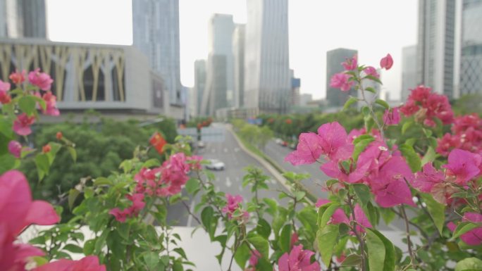 高楼日景市容市貌交通整洁绿化