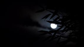 月夜视频素材下载 月夜ae模板下载 Vj师网
