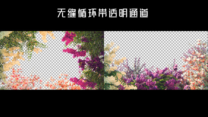 花环鲜花带通道