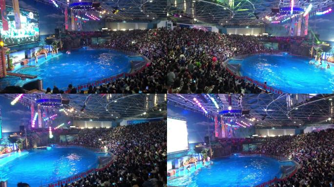 海洋馆、海豚表演、观众