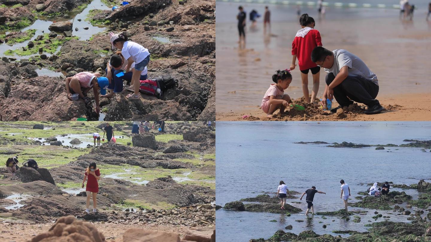 海边游玩赶海游客大人小孩海边玩耍