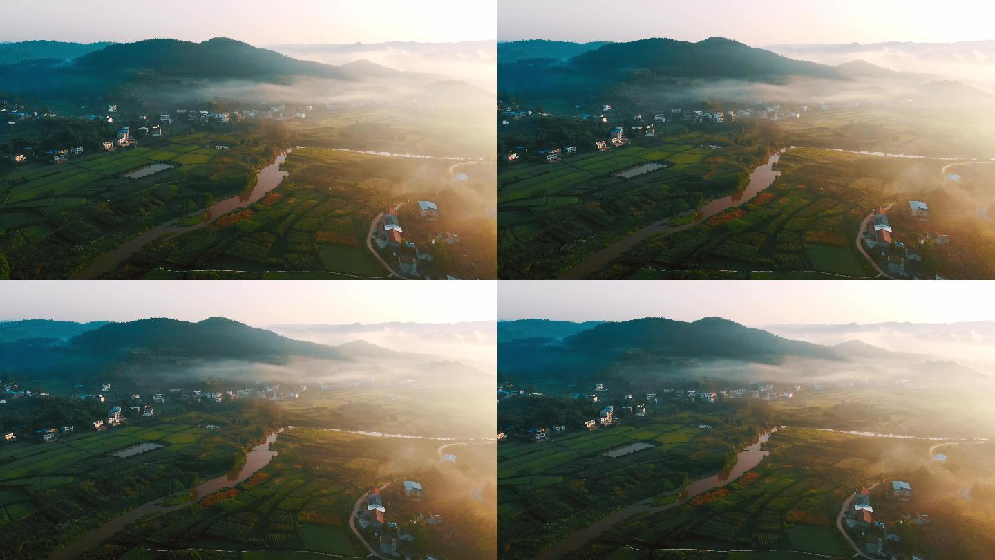 航拍晨雾下的农村丨4K丨原创