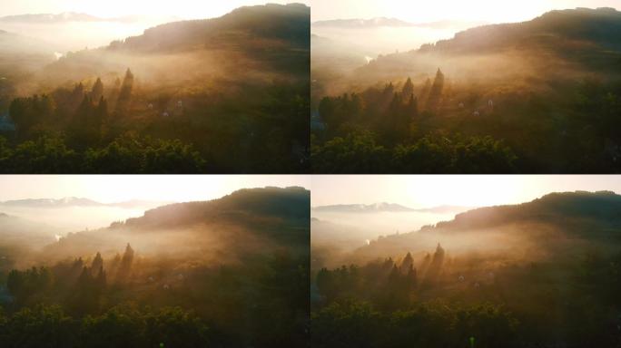 金色晨雾下的山间丨4K丨航拍原创