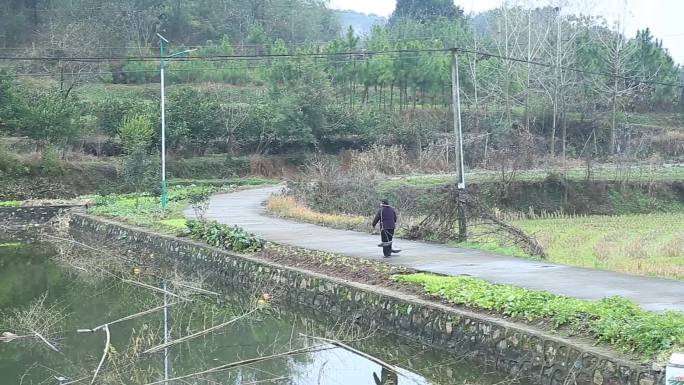 南方老太太老年人挑担子上山下山回家走路