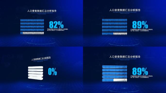 人口普查数据汇总分析报告