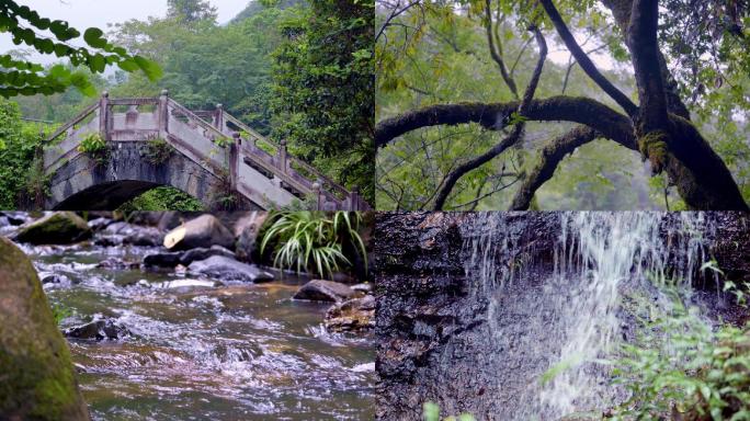 原创4K植树节小桥流水瀑布山林