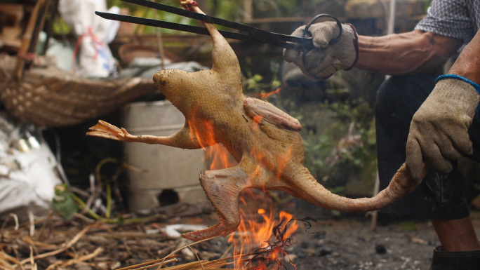 农村传统方法火烤鸭子去毛4k视频素材