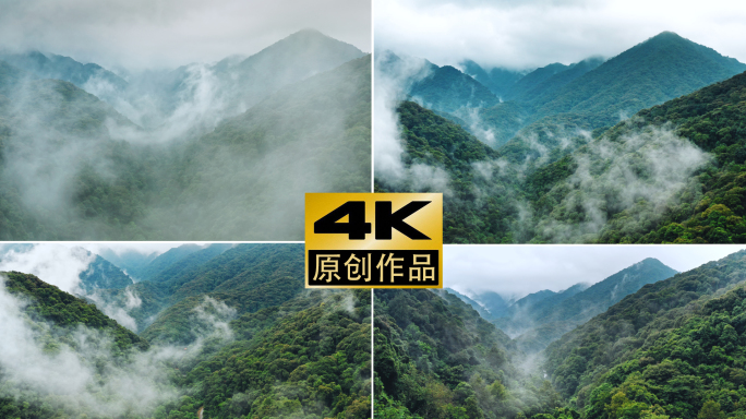【原创4K可商用】航拍原始森林河源大桂山