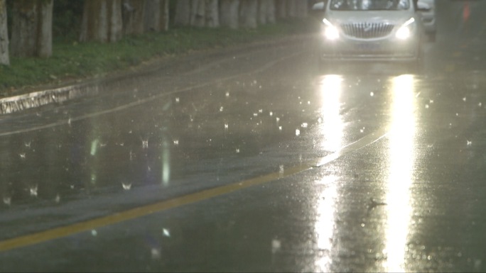 暴雨下雨天雨天道路中山陵林荫道