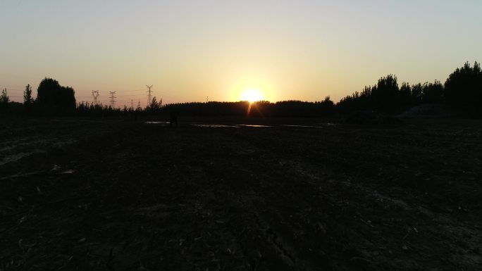 田地夕阳（4K50帧）