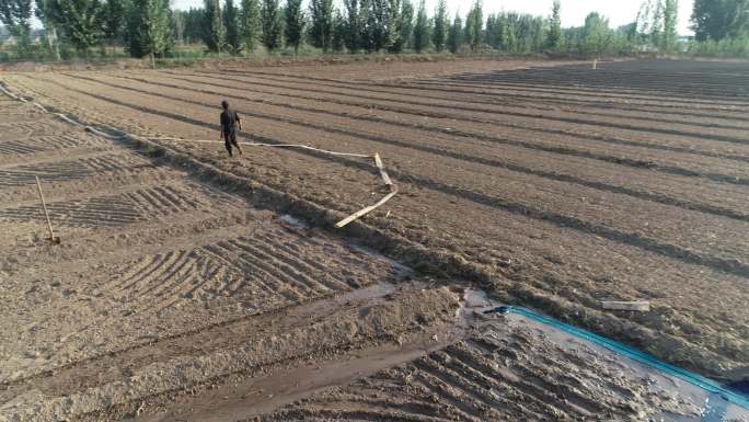 农田灌溉（4K50帧）