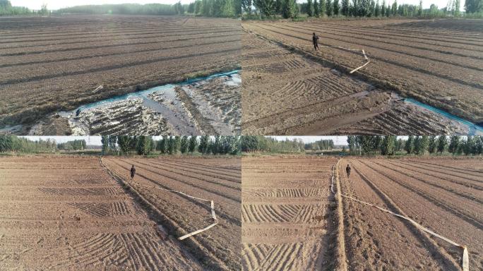 农田灌溉（4K50帧）