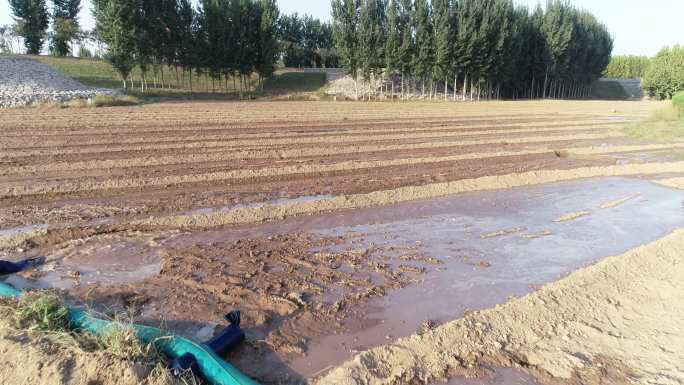 浇地灌溉（4K50帧）