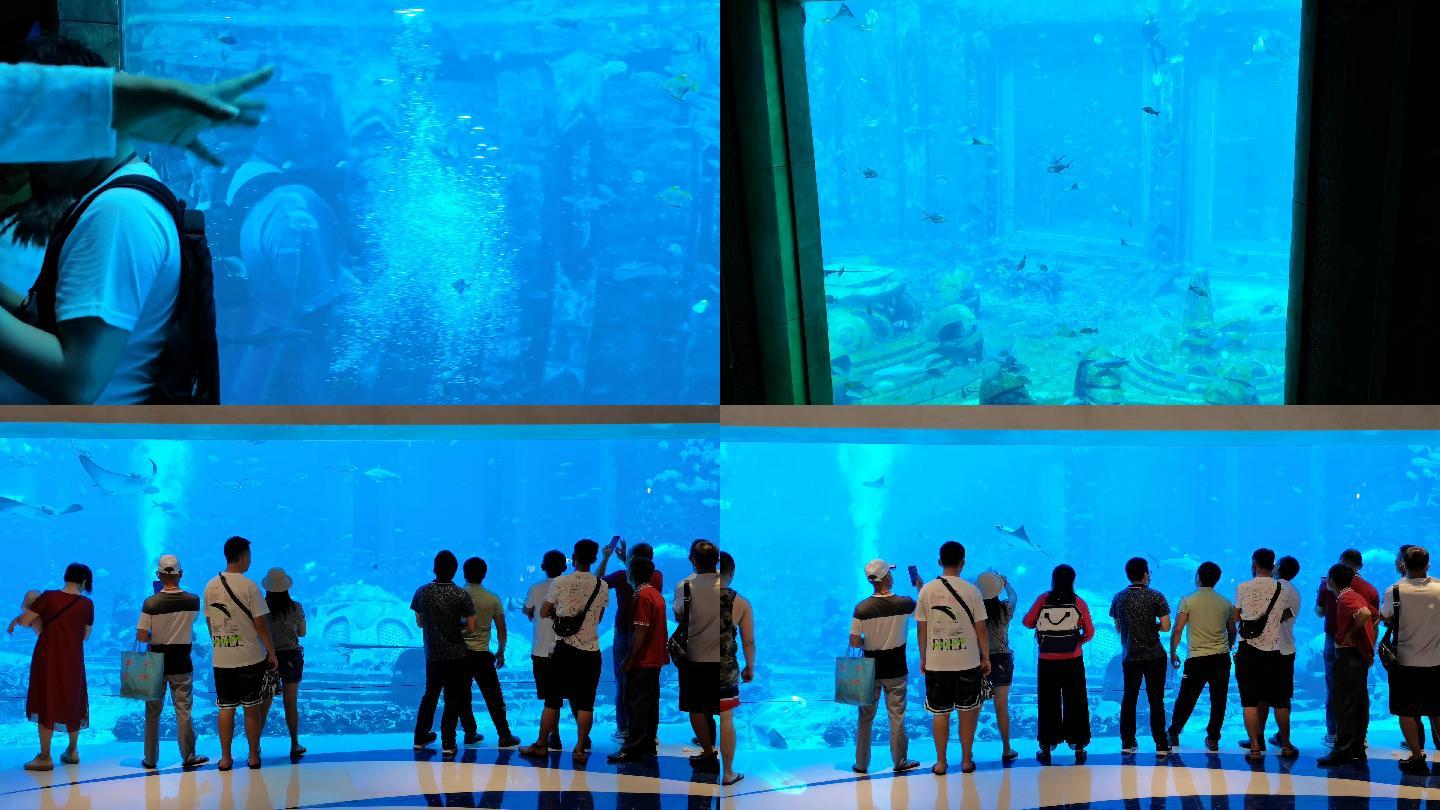 水族馆07