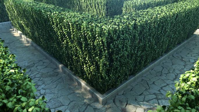 三维绿篱景观迷宫