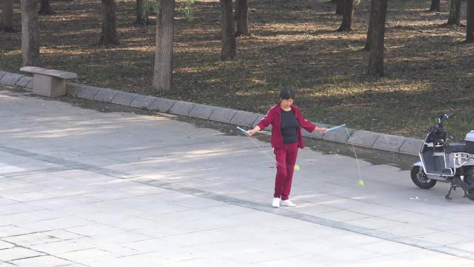 江滩晨练太极花朵蜜蜂风筝鸟