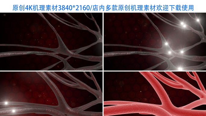 【4K】干瘪的血管恢复健康