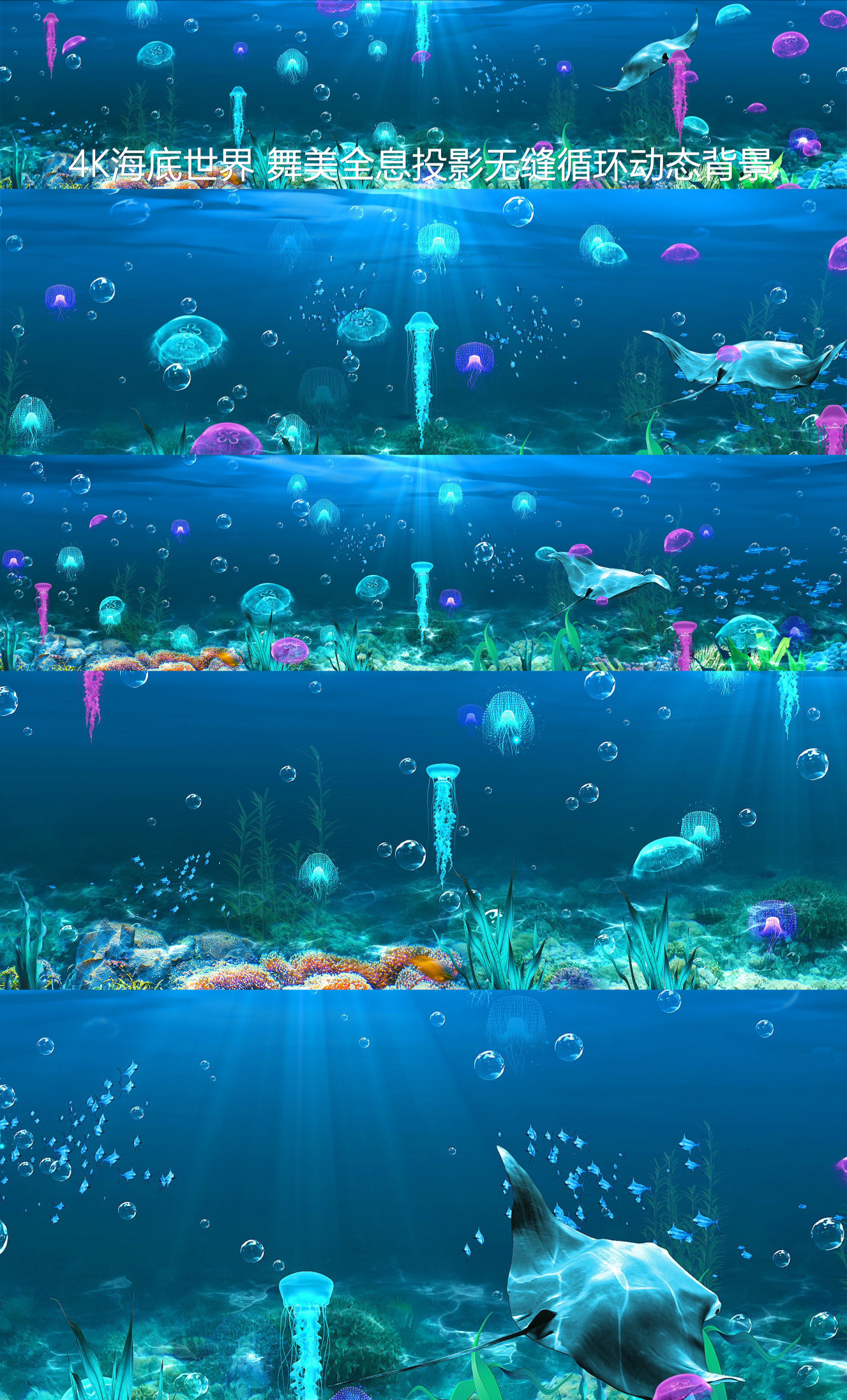 4k海底世界之水母动态背景