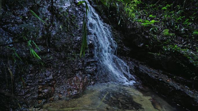 4K瀑布流水原始森林山间清澈流水