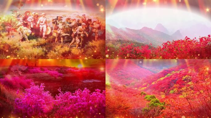 新版映山红  无音乐