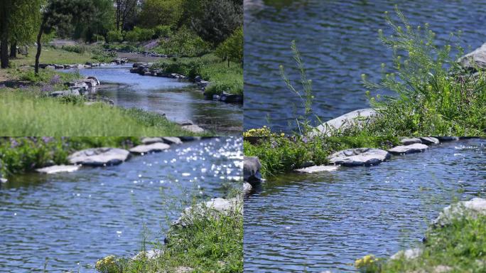 小溪，波光粼粼水面，流动溪水