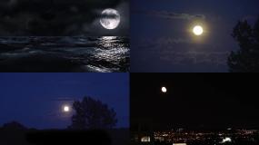 月夜视频素材下载 月夜ae模板下载 Vj师网