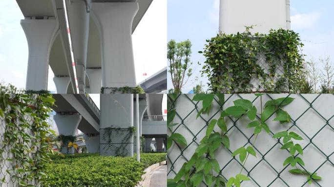 4K-高架植被-城市园圃花坛绿植