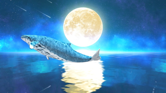 唯美月亮鲸鱼4k（15）-无缝循环