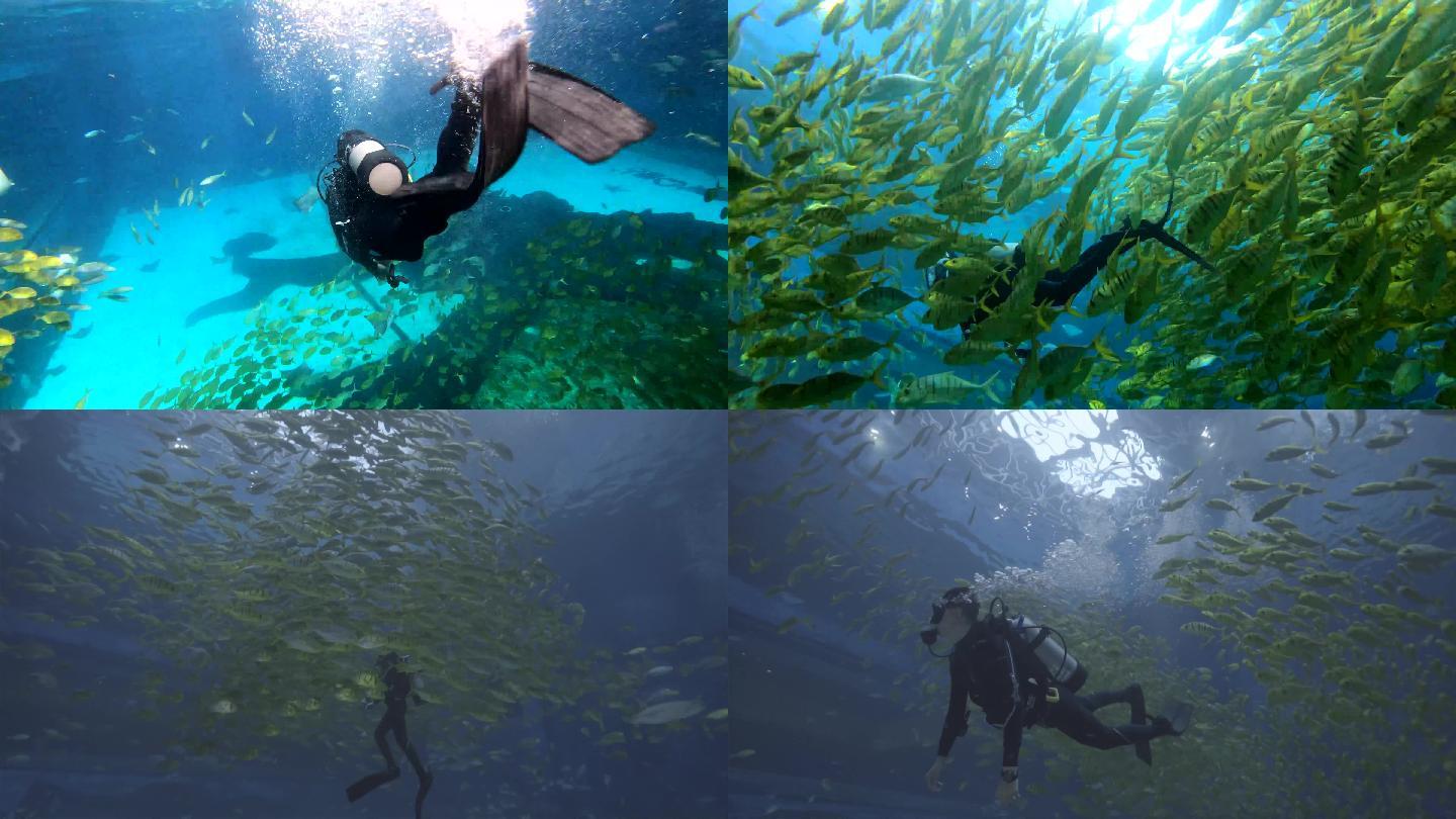 重庆融创文旅城海世界海底浮潜4K镜头