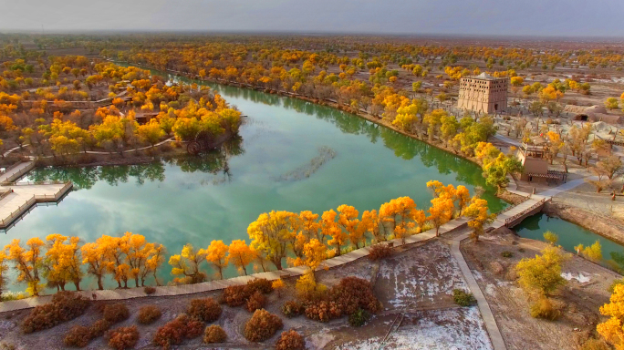 新疆叶尔羌河胡杨林风光航拍新疆（2）